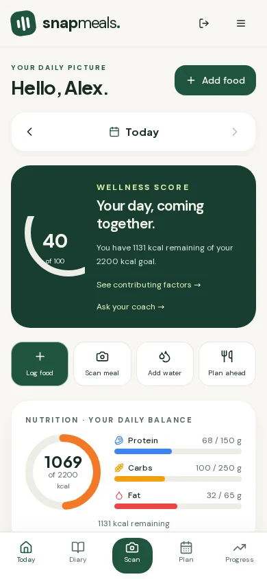 SnapMeals today screen, showing illustrative example data